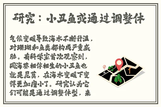 鲛人打开生腔